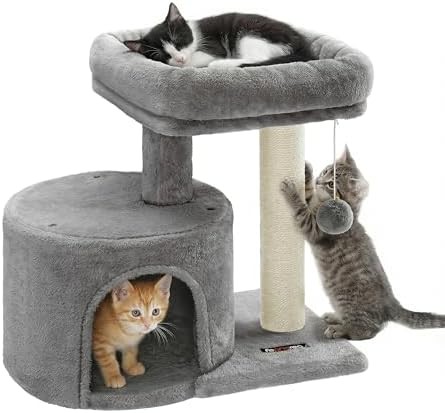 Light gray kitten climbing tower with condo