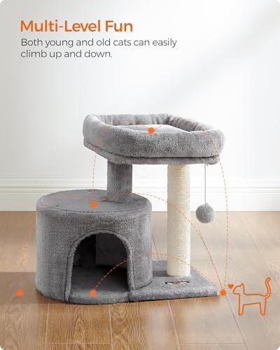 Light gray kitten climbing tower with condo — photo 3