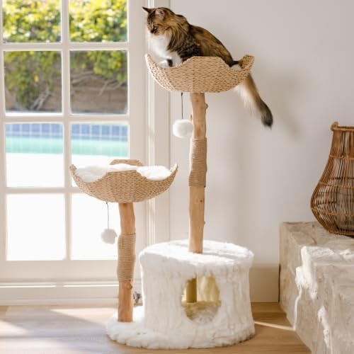 Real branch wood modern cat condo — photo 4