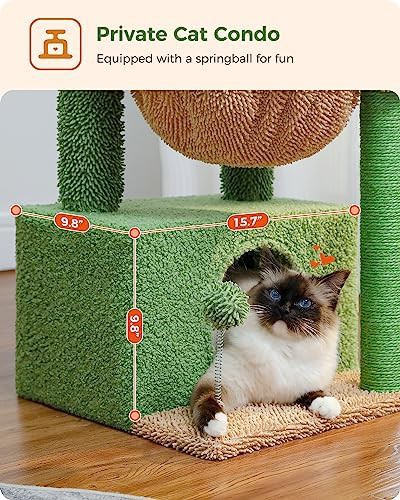 Green cactus cat tree for kittens — photo 4