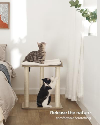 Modern sisal scratching post for large cats — photo 3