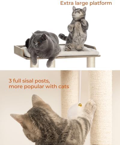 Modern sisal scratching post for large cats — photo 4