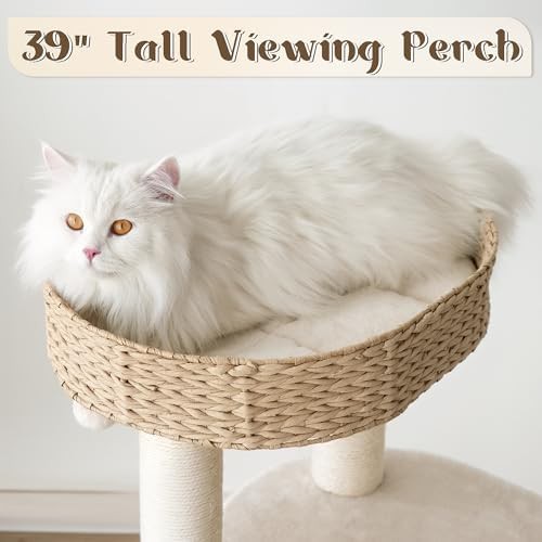 Modern hand woven condo and perch — photo 4