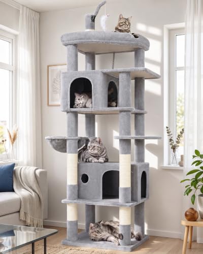 Cat Tree for Large Adult Cats