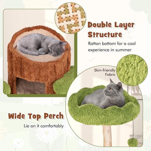 Wooden cat tree with double decker house — photo 5