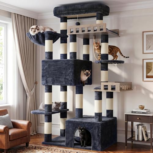 Maine Coon Cat Tree
