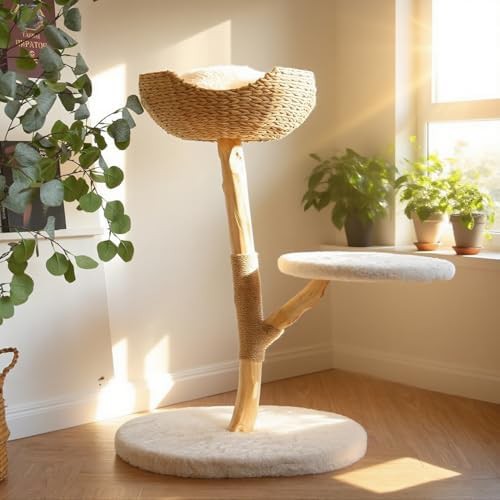 Pear wood branch condo for cats