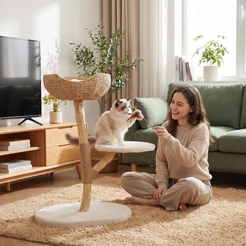 Pear wood branch condo for cats — photo 5