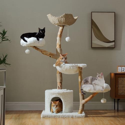 Tall natural wood and white cat tower