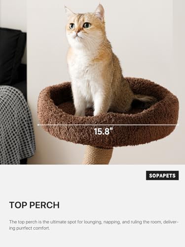 Small wood cat tower with real branch — photo 3