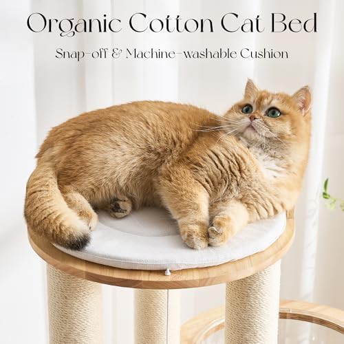 Tall oak wood cat tower with capsule — photo 4