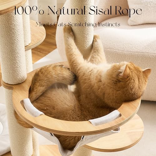 Tall oak wood cat tower with capsule — photo 5