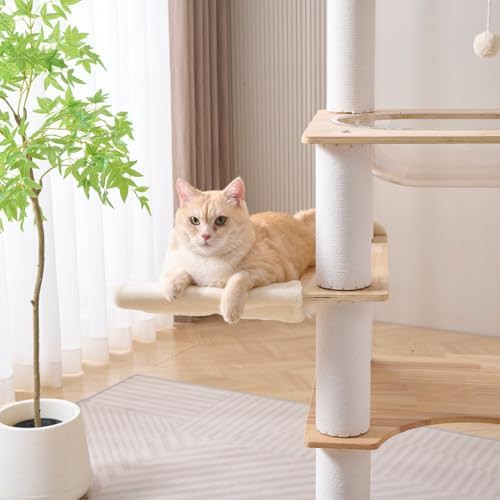 Modern wood tower with clear capsule bowl — photo 4