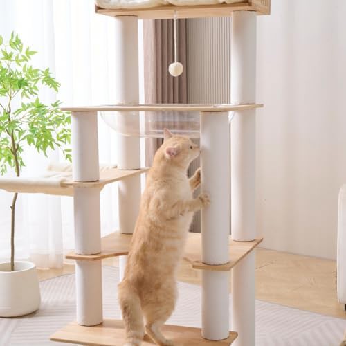 Modern wood tower with clear capsule bowl — photo 5