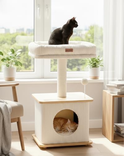 Compact kitten tree with wood condo