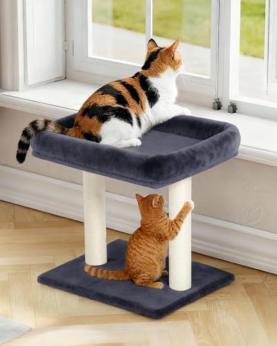 Small plush perch with heavy duty post — photo 4