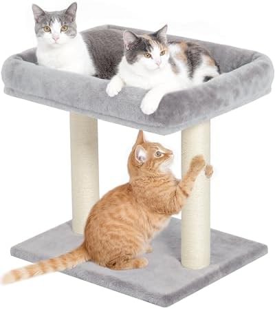 Compact carpet scratching post with perch