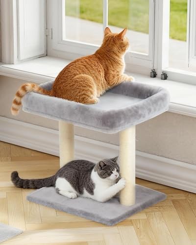 Compact carpet scratching post with perch — photo 3