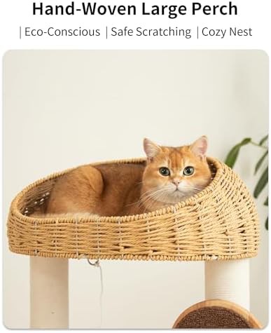 Modern wood cat tree with wide shelves — photo 3