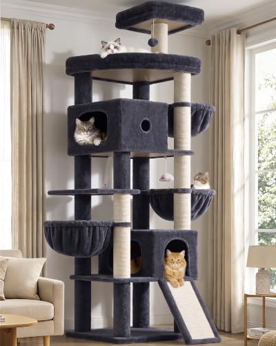 Tall climbing tower for Maine Coons