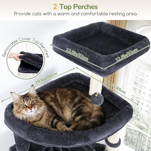 Tall climbing tower for Maine Coons — photo 4