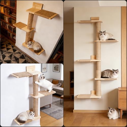 Wall mounted solid wood climbing shelves — photo 4