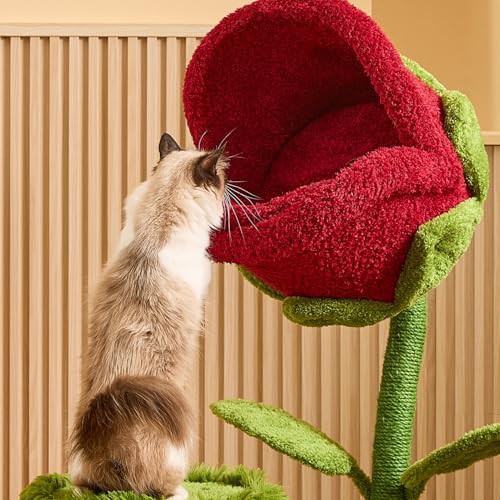 Flower shaped wood climbing tree with sisal — photo 5