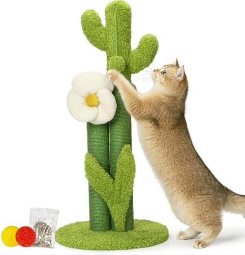 Green cactus scratching post with flower