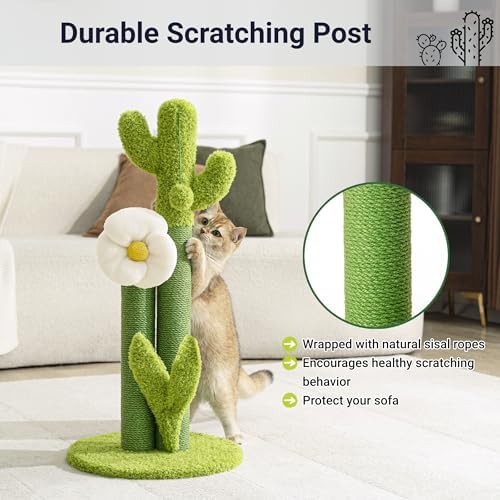 Green cactus scratching post with flower — photo 4