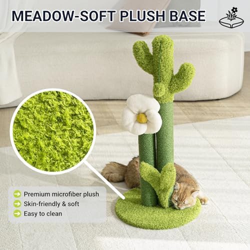 Green cactus scratching post with flower — photo 5