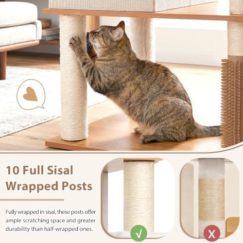 Multi level solid wood tower for large cats — photo 5