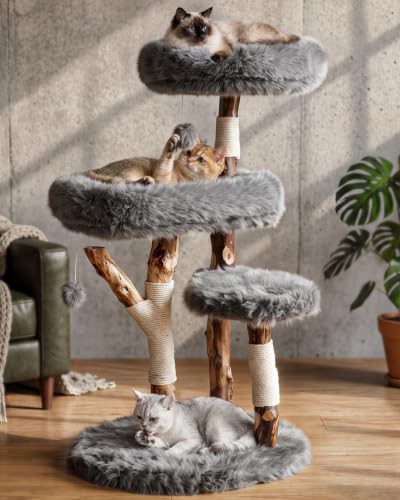 Solid wood perch with real branch support