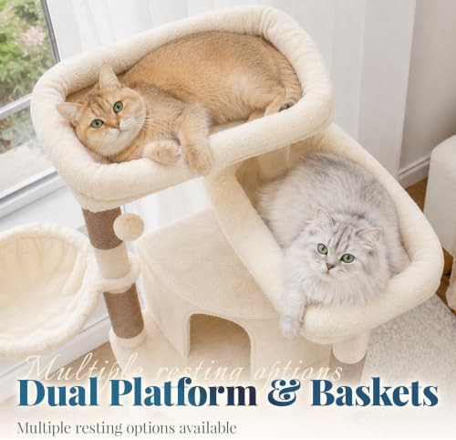 Corner kitten tower with spacious condo — photo 5