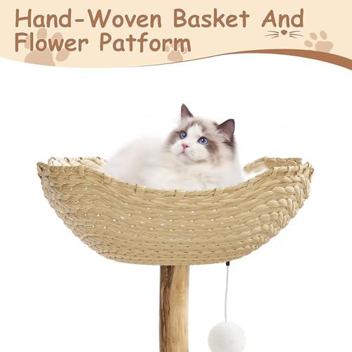 Modern wooden cat tower with real branches — photo 3
