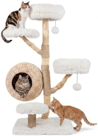 PETSITE