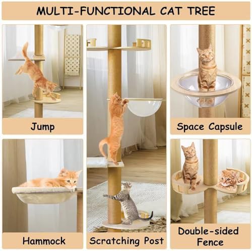 Floor to ceiling solid wood scratching post — photo 4