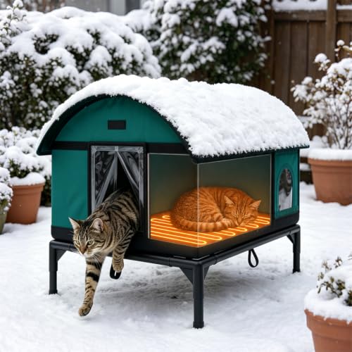 Outdoor Heated Cat House in Winter